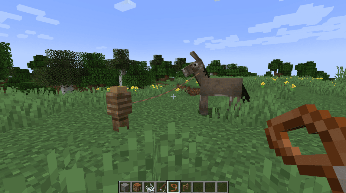 Animal Leads Minecraft