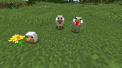 Minecraft养鸡的讲解和方法，一定要背！