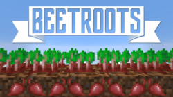 Kegunaan dan Cara Mendapatkan Beetroot di Minecraft 1.19