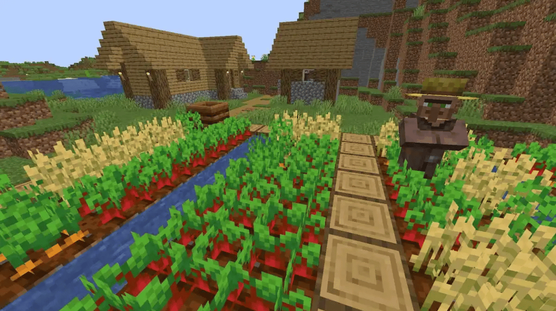 Kebun Beetroot Minecraft