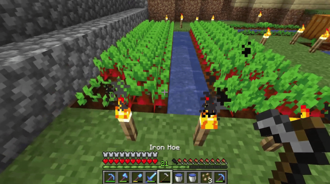 Kebun Beetroot Minecraft