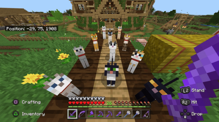  Foto zu Erklärung und wie man eine Katze in Minecraft bekommt 
