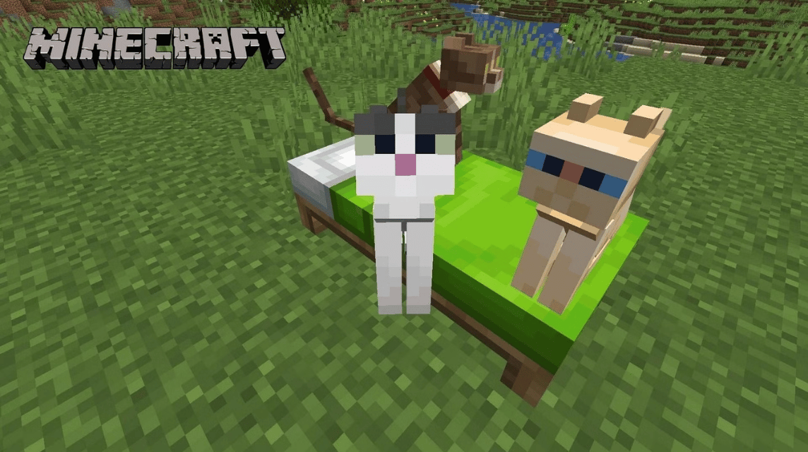 Minecraft 猫在床上