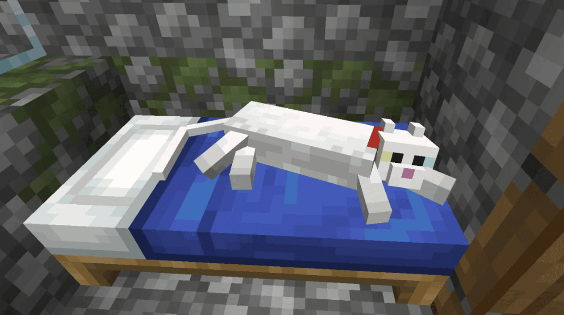 Minecraft cat