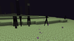 Everything You Need to Know about Minecraft Enderman