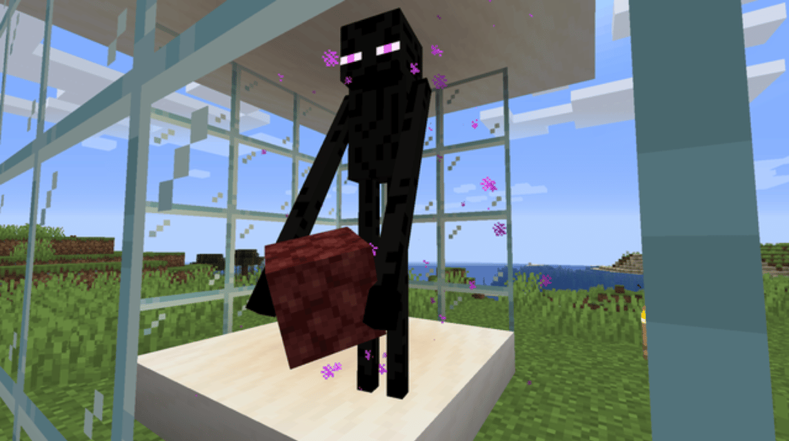 Minecraft Enderman-Blöcke