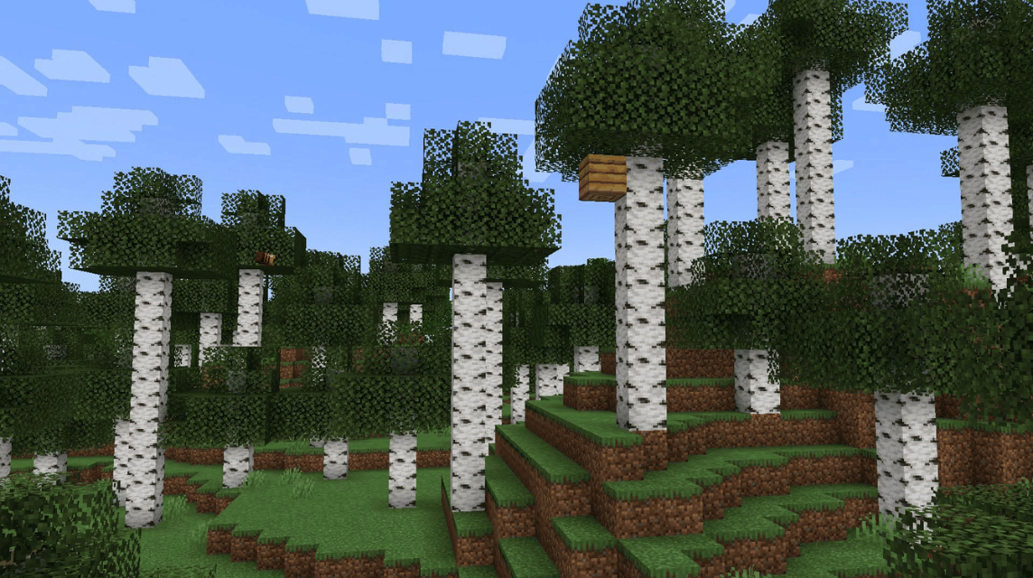 Minecraft Birches