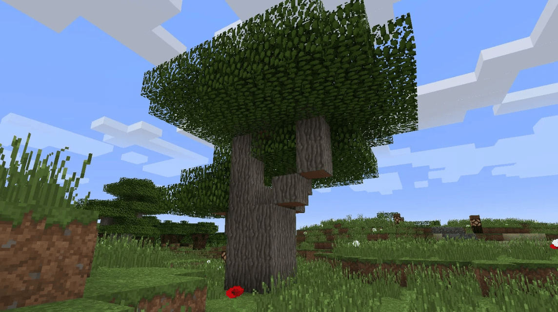 큰 아카시아 나무