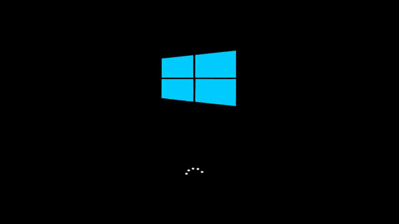 Windows 11