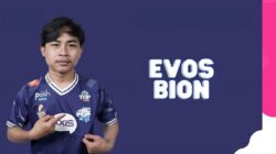 Vollständige Biodaten von Evos Bion, dem FF Pro Player!