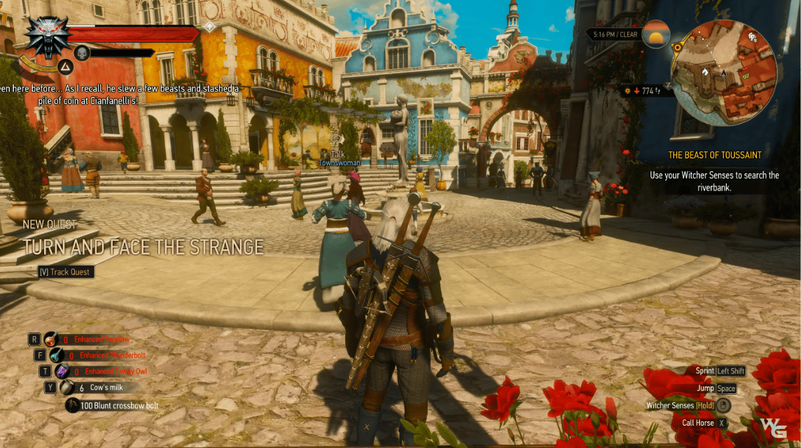 The Witcher 3