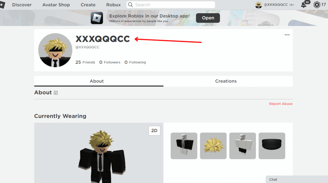 Display Name in Roblox