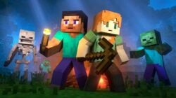 This is Steve Minecraft's default skin that you need to know