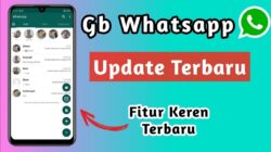 Cara Menggunakan WhatsApp GB Tahun 2023