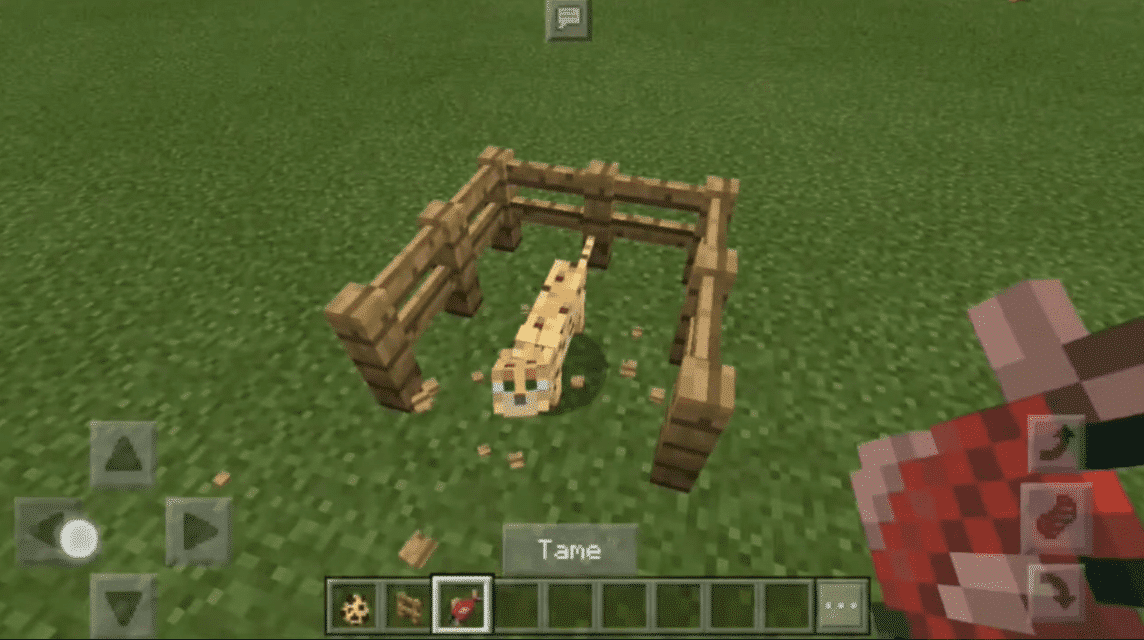 How To Tame An Ocelot In Minecraft
